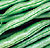 Provider Bush Bean Seeds