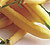 Bush Wax Bean Seeds