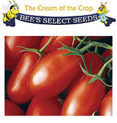 Bee's Select Seeds