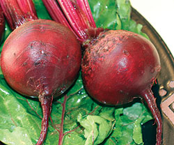 Beet Select Seeds