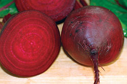 Red Ace F1 Hybrid Beet Seeds