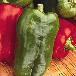 Big Bertha F1 Pepper Seeds