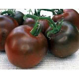 Black Russian Tomato Seeds