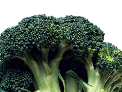 Marathon F1 Hybrid Broccoli Seeds