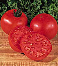 Burpee Big Boy F1 Tomato Seeds