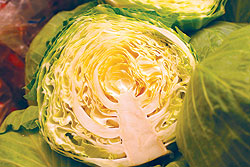Green Cabbage Select Seeds