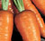Royal Chantenay Carrot Seeds