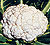 Snow Crown Cauliflower Seeds