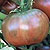 Cherokee Purple Heirloom Tomato Seeds