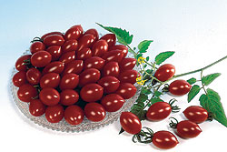 Cherry Tomato Select Seeds