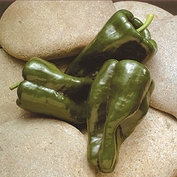 Roasting Chili Pepper Select Seeds