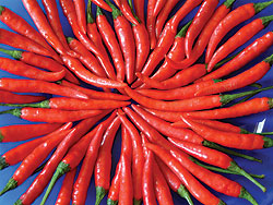 Cayenne Long Slim Chili Pepper Seeds