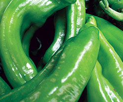 Garden Salsa F1 Chili Pepper Seeds