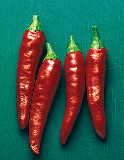 Super Chili Chili F1 Pepper Seeds