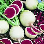 Chinese Roseheart Watermelon Radish Seeds