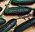  Cool Breeze Cucumber Seeds