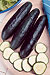 Fanfare Cucumber Seeds