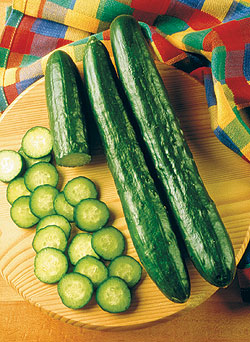 Sweeter Yet F1 Slicing Cucumber Seeds