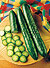 Sweeter Yet Cucumber Seeds