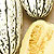 Delicata Winter Squash Seeds