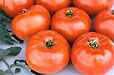 2B Seeds to Offer Free Tomato Seeds