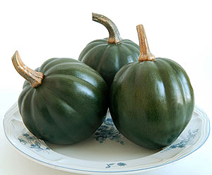 Honey Bear F1 Winter Squash Seeds