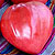Giant Oxheart Heirloom Tomato Seeds