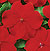 Dazzler Red Impatiens Seeds