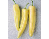 Inferno F1 Chili Pepper Seeds