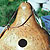 Martin Birdhouse Gourd Seeds