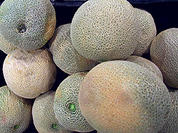 Earlisweet F1 Cantaloupe Melon Seeds