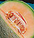 Gold Star Cantaloupe Melon Seeds