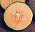 Ambrosia Muskmelon Seeds