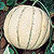 Golden Reserve Cantaloupe Melon Seeds