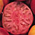 Mortgage Lifter Heirloom Tomato Seeds