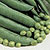 Mr. Big Pea Seeds