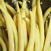 Organic Bush Bean Seeds, Gold Rush