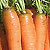 Organic Carrot Seeds, Yaya F1