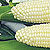 Organic Corn Seeds, White Sugar Pearl F1