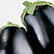 Organic Eggplant Seeds, Imperial Black Beauty