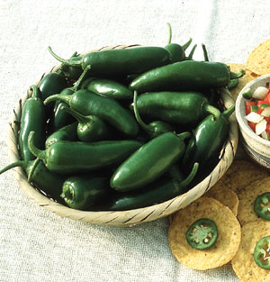 Organic Chili Pepper Seeds, Jalapeno