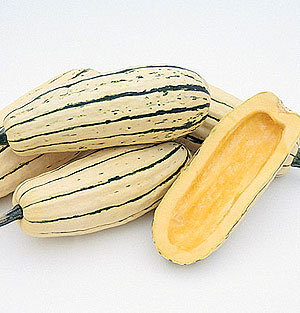 Organic Winter Squash Seeds, Delicata Zeppelin