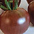 Organic Tomato Seeds, Black Cherry
