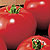 Organic Tomato Seeds, Moneymaker