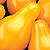 Organic Tomato Seeds, Yellow Pear