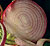 Red Robin Red Onion Seeds