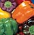 Sweet Harvest Mix Pepper Seeds