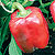 Red Beauty Pepper Seeds