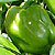 Container Patio Pompeii F1 Sweet Pepper Seeds
