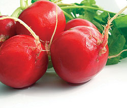 Fireball Radish Seeds